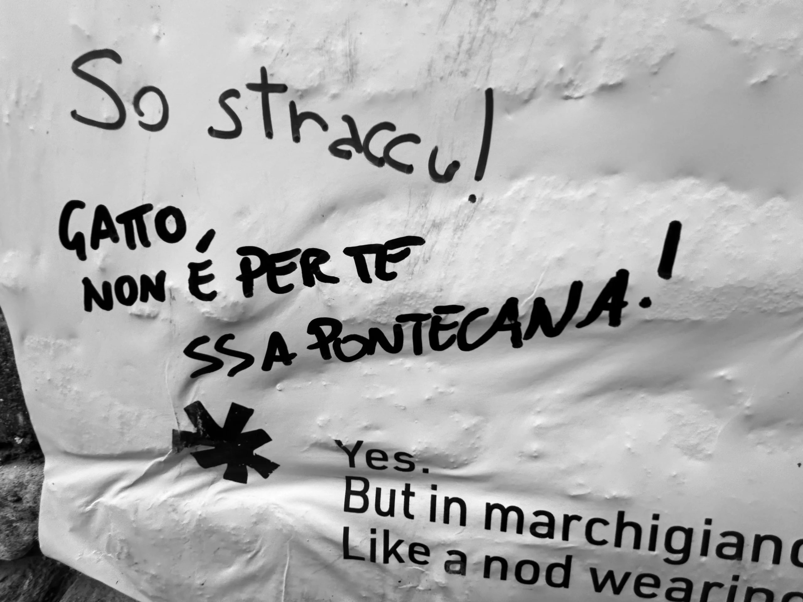 consalvi_mc_17